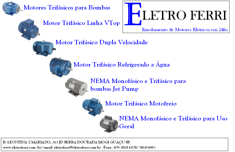 motores_Voges